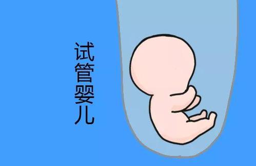 陈若晴 副院长